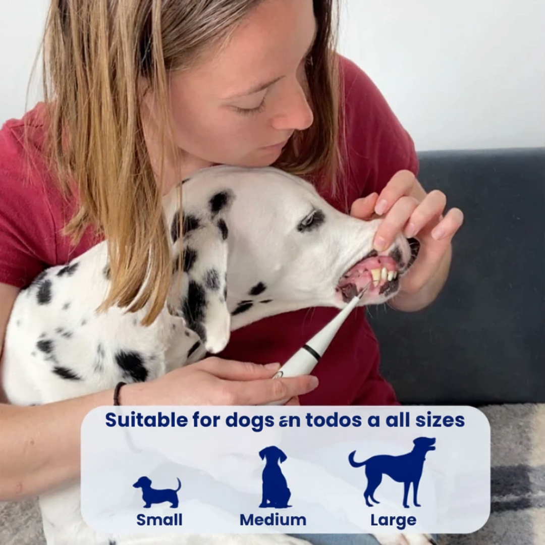 Avaioo kit Silent Sonic Plaque & Tartar Remover for dogs